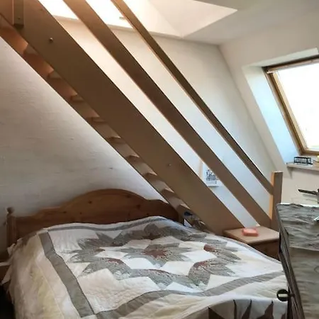 Dachgeschosswohnung Mit Dachterrasse Zittau