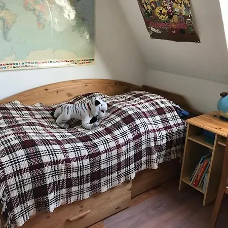 Dachgeschosswohnung Mit Dachterrasse * Zittau